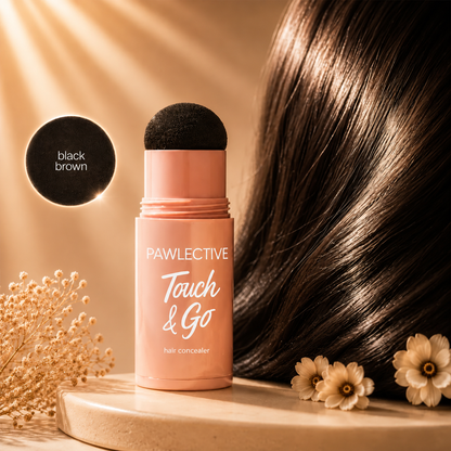 Touch & Go Hair Concealer