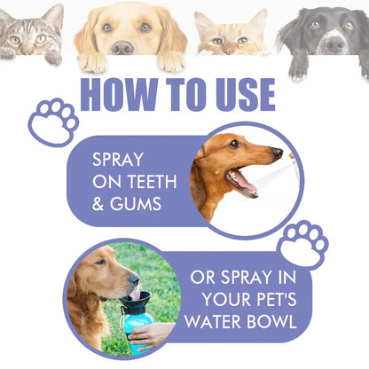 Topatcho™ 🍃Say Goodbye to Bad Breath & Plaque — Without Brushing