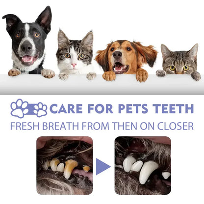 Topatcho™ 🍃Say Goodbye to Bad Breath & Plaque — Without Brushing
