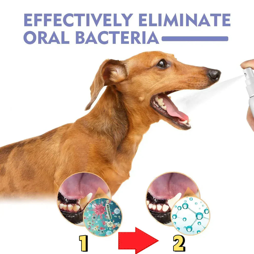 Topatcho™ 🍃Say Goodbye to Bad Breath & Plaque — Without Brushing