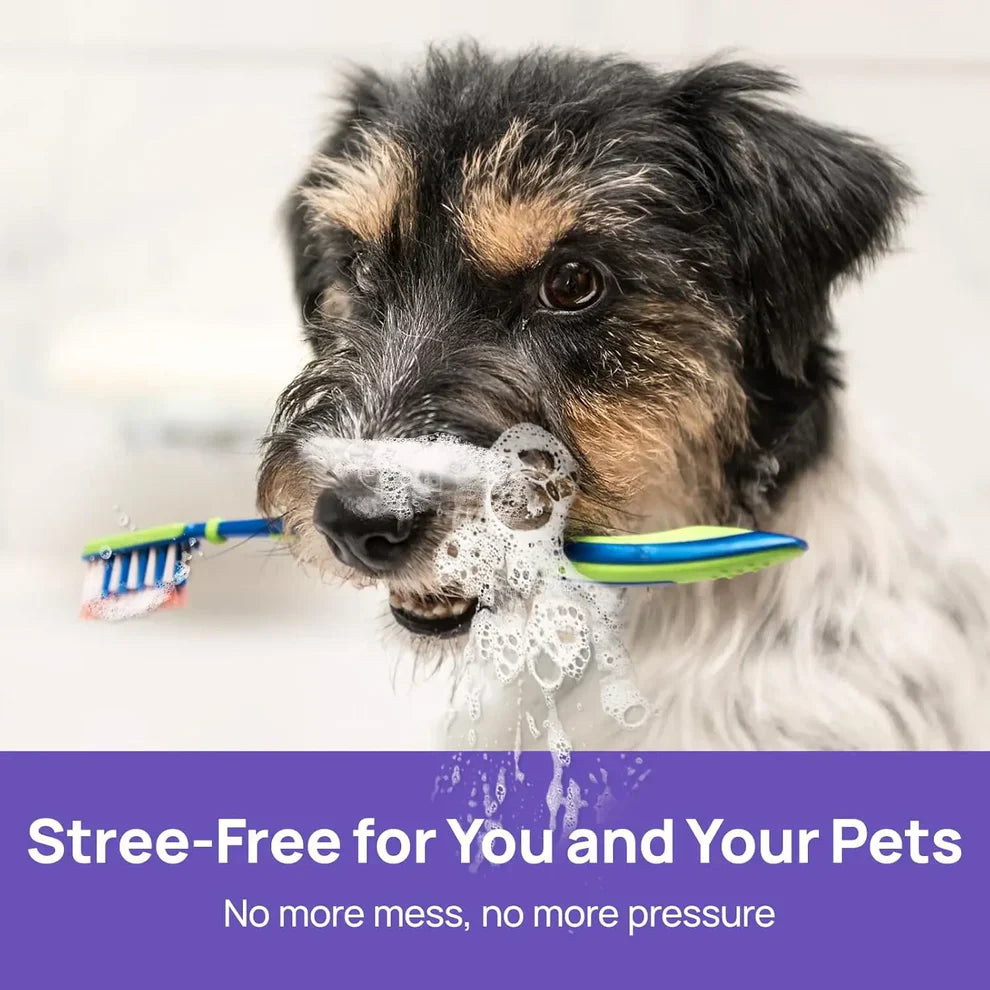 Topatcho™ 🍃Say Goodbye to Bad Breath & Plaque — Without Brushing